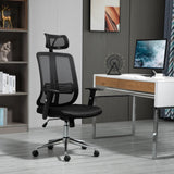 Vinsetto High Back Mesh Chair Office Task Chair with Adjustable