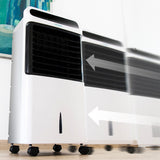 Portable Evaporative Air Cooler Cecotec EnergySilence PureTech 6500