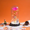 Cadeaux pour femmes Roses préservées La Belle et la Bête en verre Rose galaxie Lumière LED Fleur artificielle Cadeau d'anniversaire pour filles