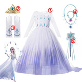Disney Frozen Costume Princess Dress
