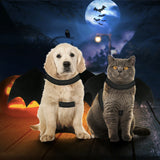 Costume d'ailes de chauve-souris pour animaux de compagnie d'Halloween Chat et chiens 